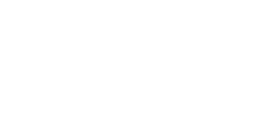 Xambiz