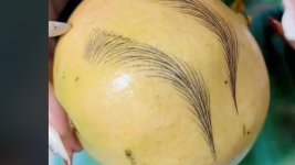 Cách học phun xăm trên vỏ trái cây.1_Xambiz by thuylinh