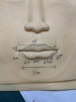 Tặng cả nhà tỉ lệ vẽ khuôn môi trên da 3d.1_Xambiz by linhanhpmu