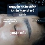 TẠI SAO LÔNG MÀY BỊ TRỔ XANH, TRỔ ĐỎ? MÀ CHẲNG MẤY KHI BỊ TRỔ VÀNG?.1_Xambiz by Dinh Cong Thai