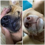 Môi thâm đen mà các chị cứ đòi phải lên màu ngay mới chịu.1_Xambiz by tranminhnguyet