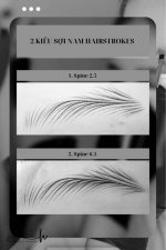 Sợi nam hairstroke ❗️❗️❗️.1_Xambiz by aotohuyen